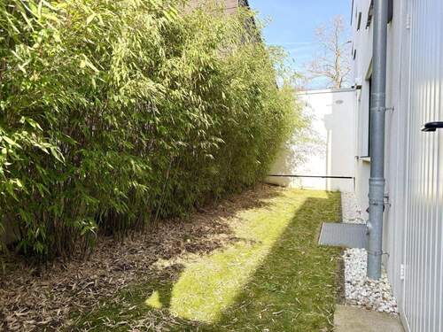 Garten hinter dem Haus - 