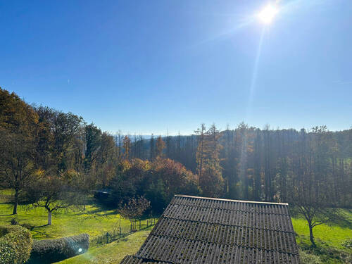 Ausblick - 