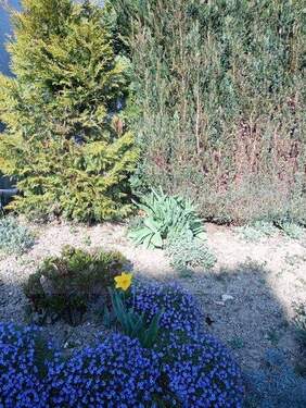 589728350_733680612502581_820199837033587429_n - 