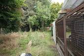 IMG_3380 - 