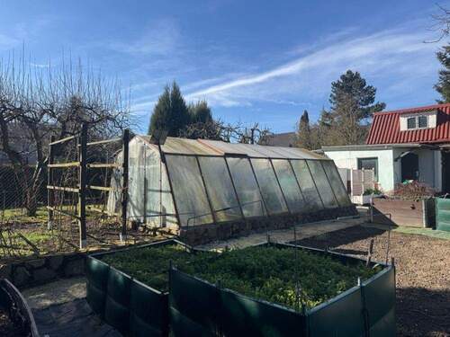 Zurück zu den Wurzeln - 