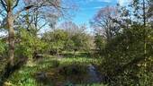 Biotop - 