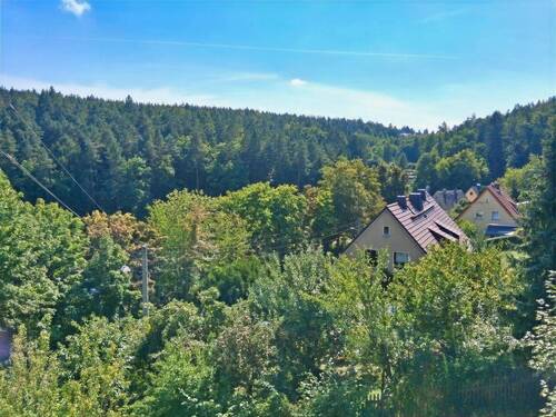 Blick vom Badfenster - 