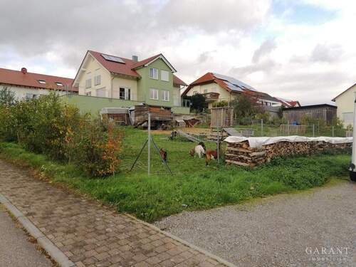 Grundstück Cleebronn - Grundstück zum Kaufen in Cleebronn