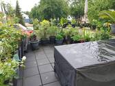 Dachterrasse nach Regen.jpg - 