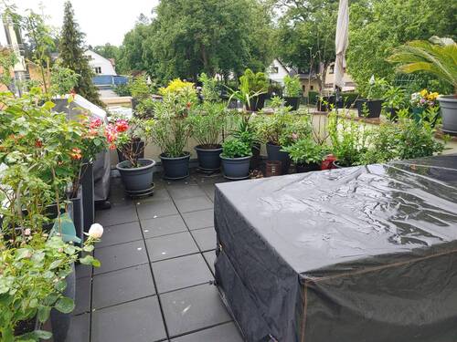 Dachterrasse nach Regen.jpg - 