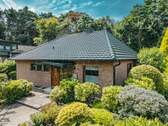 Der Bungalow - 