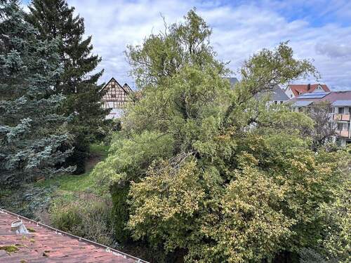 DG Aussicht in den Garten - 