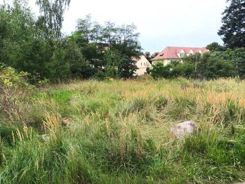 Grundstück - Grundstück in Lauta zum Kaufen