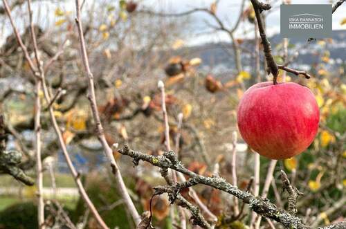 Impressionen - Ihre Wochenendidylle zwischen Gerlingen und Leonberg