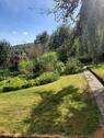 Garten im Sommer - 