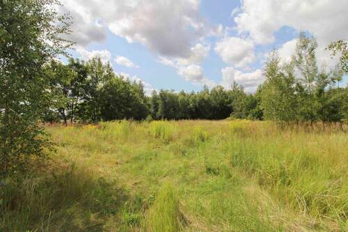 Grundstück 01 - Ihr neues zu Hause in sonniger Feldrandlage - zwei große Baugrundstücke in Chemnitz Adelsberg