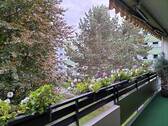 Blickdicht im Sommer - 