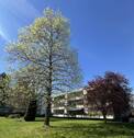 Weiter Ansicht - 
