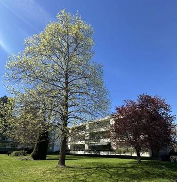 Weiter Ansicht - 