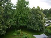 Gartenblick - 