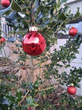 Baumschmuck im Garten - 