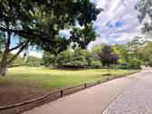 Volkspark Wilmersdorf - 