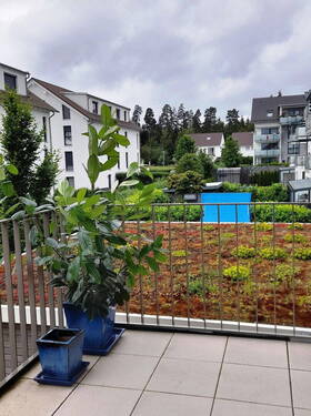 Balkon - 