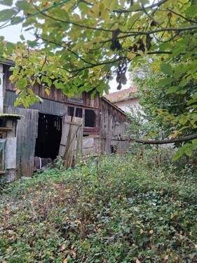 Schuppen - 