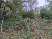 Gartenansicht - 