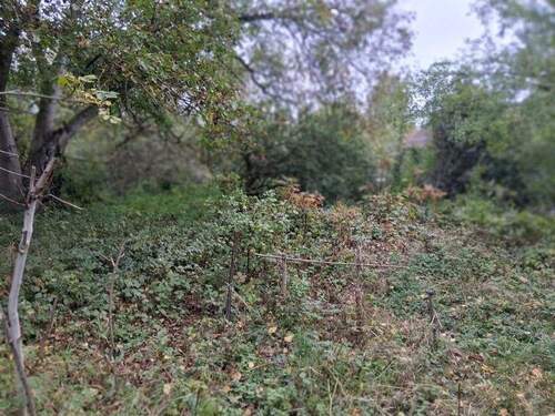 Gartenansicht - 