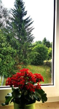 Blick in den Garten - Gemütliche, sanierte 4-RW mit Garten, 2.OG