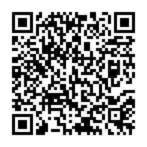 QR-Code - 