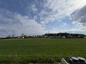 Blick ins Grüne - 