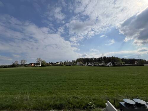Blick ins Grüne - 