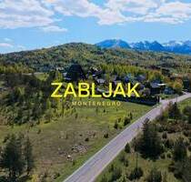 Land plot for the construction of a hotel complex in Zabljak Land plot for the construction of a hotel complex in Zabljak