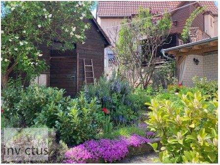 Garten - 5 Zimmer Einfamilienhaus zur Miete in Bad Wimpfen