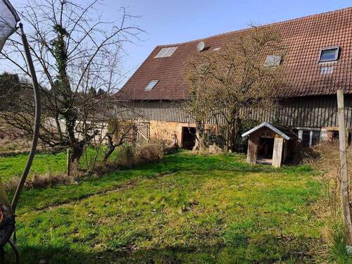 Scheune Rückseite - 8 Zimmer Bauernhaus, Landhaus in Friesenheim