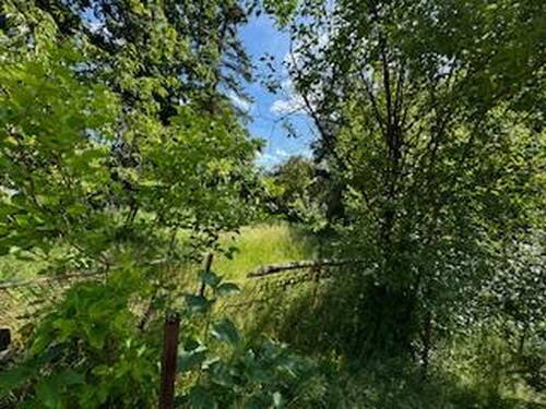Bild 25 - 