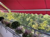 Bild 19 - 