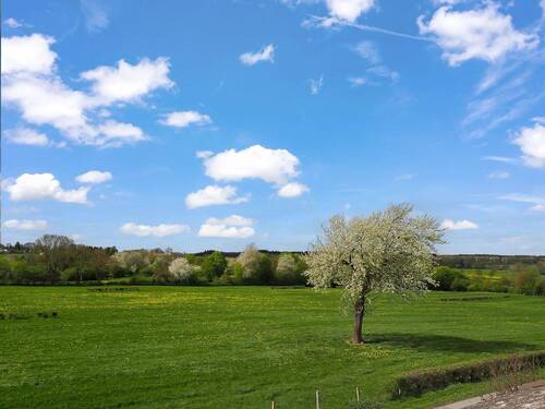 Aussicht - Front - 