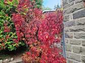 20251009_123730.jpg - 