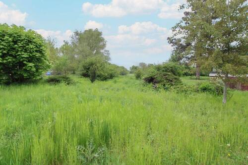 Gartengrundstück (3) - 