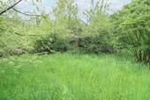 Gartengrundstück (4) - 