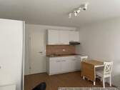 Einbauküche - möbliertes Appartment - frei ab Februar 2026