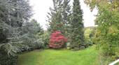 Gartenblick vom Balkon - 