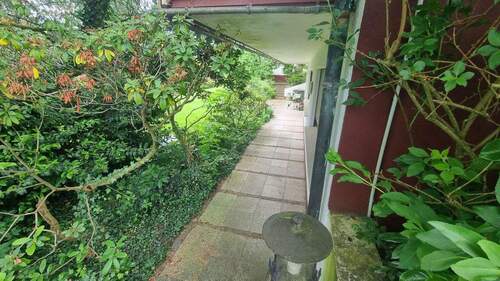Gartenweg hinter d. Haus - 