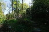 Bild 11 - 