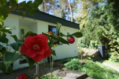 Bild 14 - 