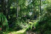 Bild 8 - 