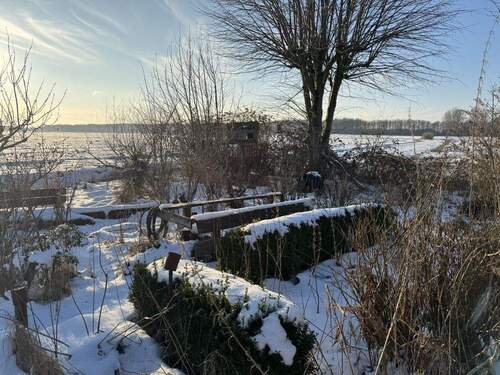 Blick in den Garten - 