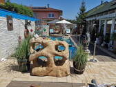 Blick auf den Pool - 3 Zimmer Einfamilienhaus in Sinzheim