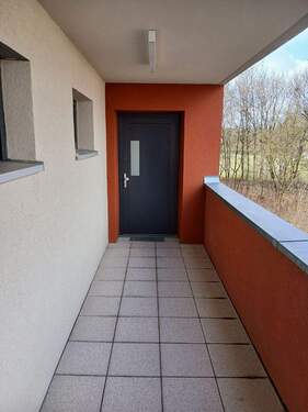 20260312_110058_resized.jpg - 