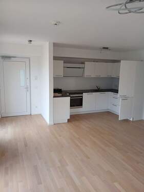 20260312_110132_resized.jpg - 