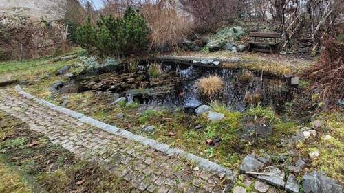 Gartenteich - 